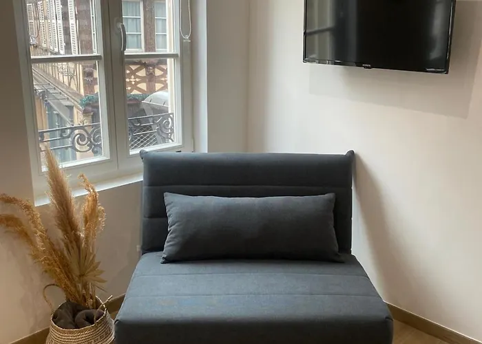 Appartement Au Coeur D'obernai *